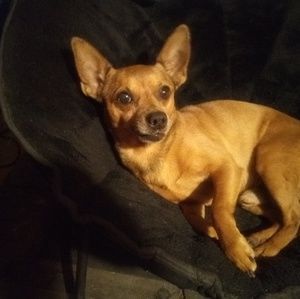 Meet your Posher, Greg